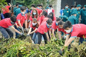 Young people in HCMC join environmental protection activities
