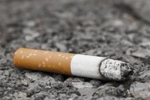 Resident to face fine for littering streets with cigarette butts