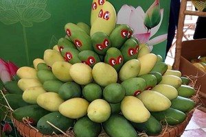 Dong Thap trains farmers in agricultural economy