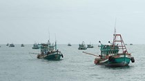 Illicit fishing vessel owners to face criminal charge
