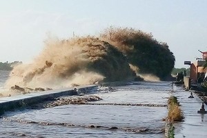 Ganh Hao Dyke in Bac Lieu Province in the Mekong detla breaks up (Photo: SGGP)