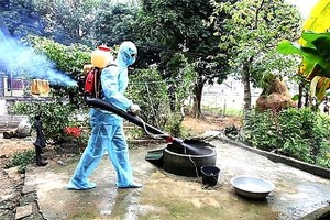 Health Ministry sets up inspection team after 11 die from dengue fever