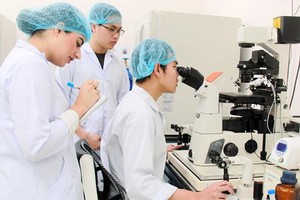 Research students are carrying out their studies in the International University – member of the Vietnam National University HCMC 