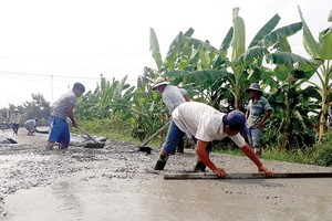 Asphalted roads are built in Long An to replace mud ones (Photo: SGGP)