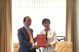 Vietnamese Deputy Minister of Natural Resources and Environment Vo Tuan Nhan and Japan’s state minister of the environment Yukari Sato. (Photo: VNA)