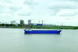 Dong Nai river (Photo: SGGP)