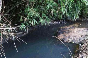 People dump the waste matter into a local stream, the oil quickly spread to a nearby canal, which led water from the Da (Black) River into a water treatment plant of the Song Da Water Investment, which supplies water to several districts in the western pa