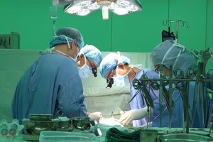 HCMC authorities address plastic surgery services
