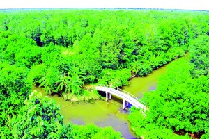 Enjoying fresh air in Lung Ngoc Hoang Nature Reserve