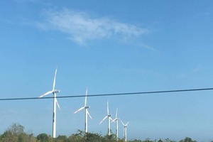 A wind power in the Mekong delta (Photo; H.H)