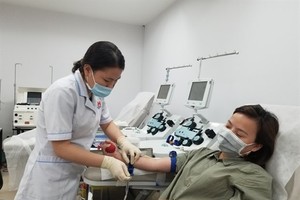 Young people in HCMC call on peers to donate blood