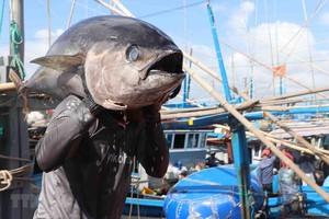 International cooperation key to promoting Vietnam’s tuna brand