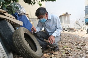 A medical worker is checking tyre dump site, a dengue hazard (Photo: SGGP)