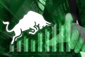 The 19 covered warrant items were issued by SSI Securities (SSI), VPS Securities (VPS), HCM City Securities (HSC) and MB Securities (MBS) (Photo vietstock.vn)
