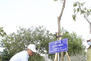 A city leader is watering tree (Photo: SGGP)