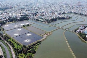 A treatment lake of Binh Hung Hoa sewage treatment plant. (Photo: SGGP)
