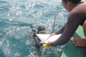 A diver from the Cham Island Maritime Protected Area completes a check on coral reefs in waters off the islands. — VNS Photo