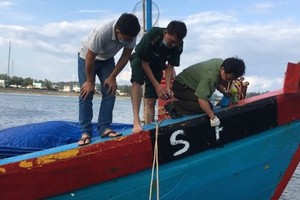Inspectors are checking the fishing boat (Photo: SGGP)