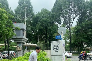 An elderly man is watering  trees and flowers in T-shaped intersection Nguyen Dinh Chieu – Ly Thai To in District 3 (Photo: SGGP)