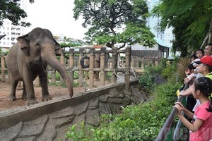 The Sai Gon Zoo and Botanical Garden is the country’s largest zoo and botanical garden. It attracts several thousand visitors every day. — Photo courtesy of the Sai Gon Zoo and Botanical Garden
