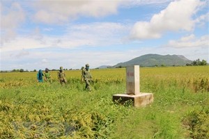Officers and soldiers of Lac Quoi Border Guard Station in An Giang province in a patrol. (Photo: VNA)