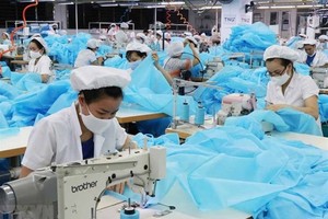 Illustrative photo ( Photo: VNA)