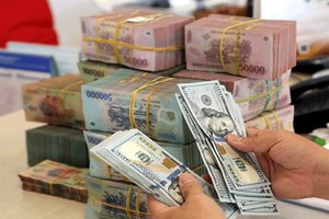 Reference exchange rate up VND2 at week’s beginning
