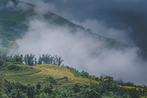 Mu Cang Chai terrace fields in the northern mountainous province of Yen Bai (Photo: Han Huynh)