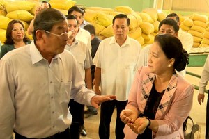 National Assembly Chairwoman Nguyen Thi Kim Ngan tours the production centre for ST25 fragrant rice in My Xuan district, Soc Trang province (Photo: SGGP)