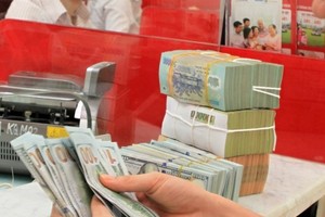 The State Bank of Vietnam set the daily reference exchange rate at VND23,141  per USD on January 18. (Photo: VNA)