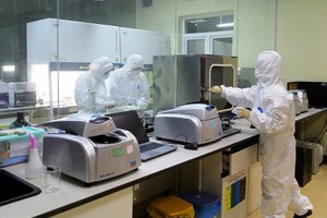 Staffs of the Center for Disease Control in Quang Ninh carry out tests through night (Photo: SGGP)