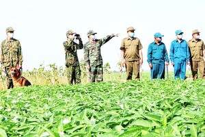 Border guards tightencontrol over immigrants through border gates (Photo: SGGP)