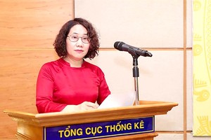 GSO Director General Nguyen Thi Huong