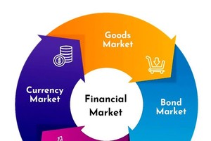 Bolster stock markets to withstand external shocks