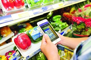 Vietnam’s digital economy to hit US$52 billion by 2025