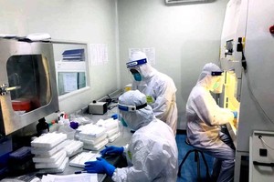 Hotline for Covid-19 information to be set up