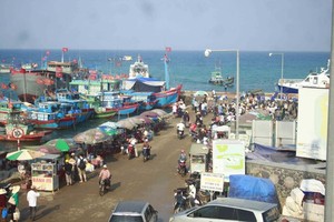 Solutions sought to promote sustainable growth of Ly Son island