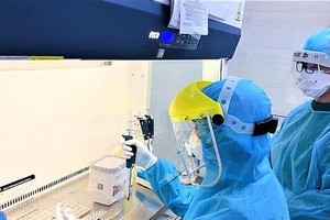 Vietnam to strive for 150 million Covid-19 vaccine doses: Deputy Health Minister