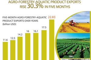 Agro-forestry-aquatic product exports rise over 30 percent