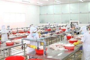 Italian firms seek investment opportunities in Vietnam