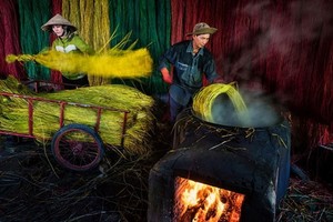 Vietnam wins two honourable mention certificates at FIAP contest