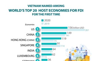 Vietnam among world's top 20 host economies for FDI