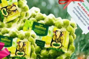 Vietnam exports 22 tons of frozen Indochina Dragonplum fruit to Australia