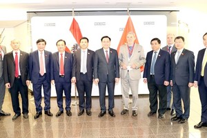 Vietnam promotes initiatives on issues of global concern