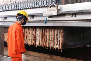 Green economy absorbs in green consumption behaviors