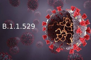 VN proposes ban flights from S. Africa due to Omicron Covid-19 variant