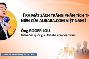 Vietnamese small, medium firms find export markets on e-commerce platform