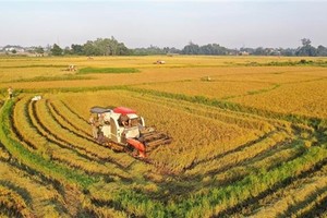 Fifth Vietnam Rice Festival underway in Vinh Long