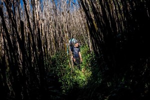 First Vietnamese joins World Press Photo Contest jury