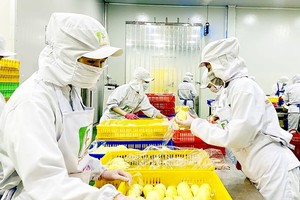 Program OCOP enhances consumption of Vietnamese farm produce